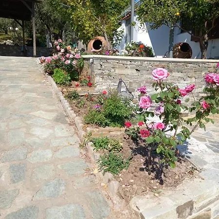 Margis Case de vacanță *