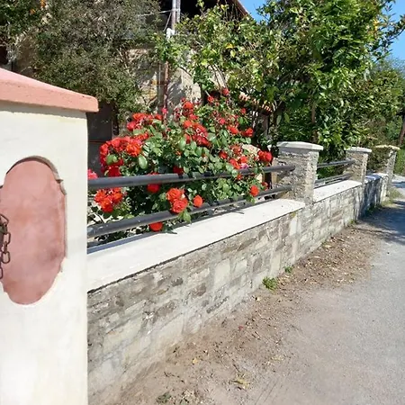 Case de vacanță Margis