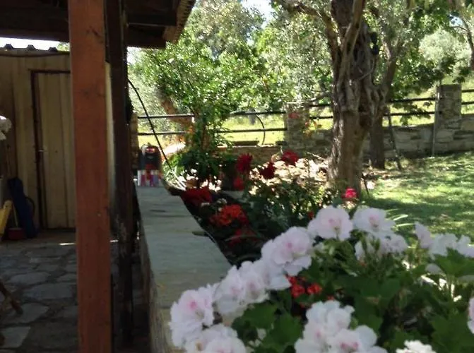 Дом отдыха Margis *